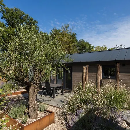 בית נופש Modern Ingericht Op Park Op De Veluwe אפ