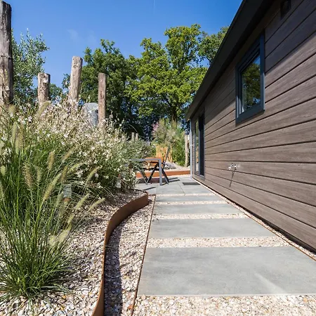 Modern Ingericht Op Park Op De Veluwe *