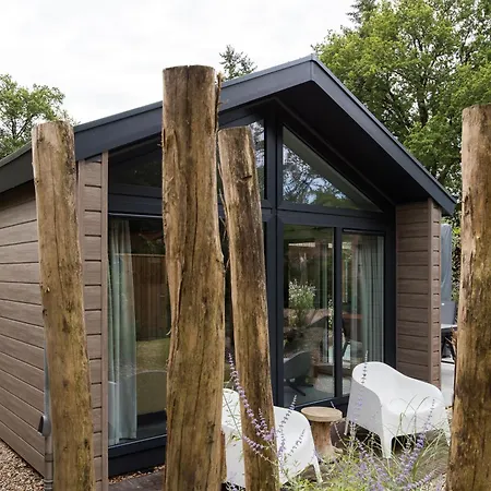 Modern Ingericht Op Park Op De Veluwe