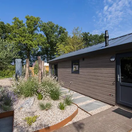 Modern Ingericht Op Park Op De Veluwe בית נופש