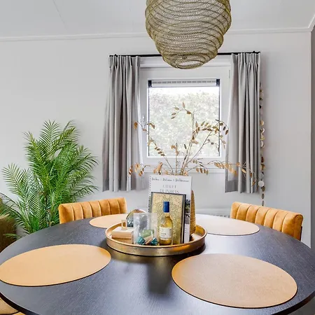 Modern Ingericht Op Park Op De Veluwe *