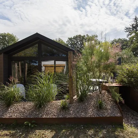 Modern Ingericht Op Park Op De Veluwe * エーペ