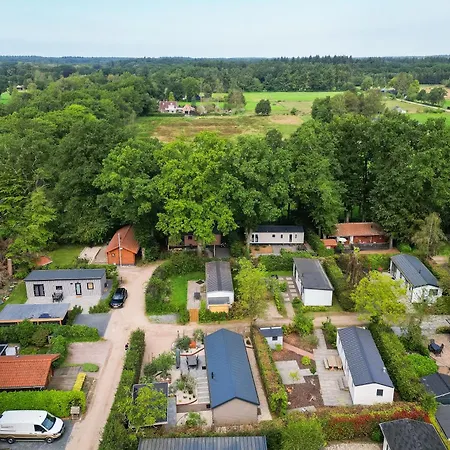 Modern Ingericht Op Park Op De Veluwe