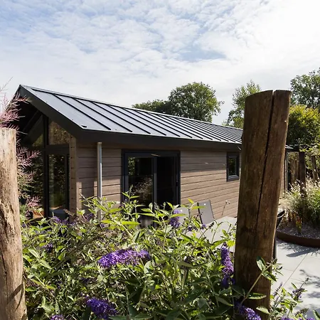 בית נופש Modern Ingericht Op Park Op De Veluwe אפ