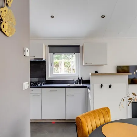 Modern Ingericht Op Park Op De Veluwe *