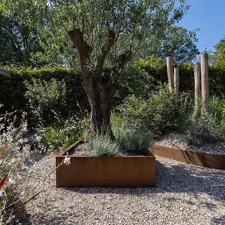 Modern Ingericht Op Park Op De Veluwe בית נופש