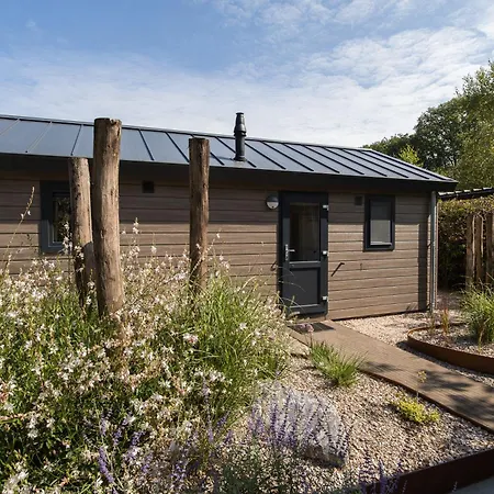 בית נופש Modern Ingericht Op Park Op De Veluwe אפ