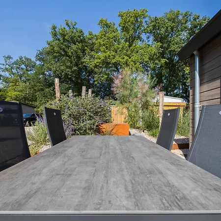 Modern Ingericht Op Park Op De Veluwe *