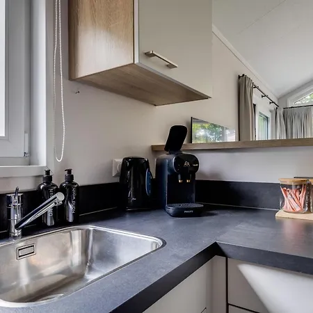 Modern Ingericht Op Park Op De Veluwe エーペ