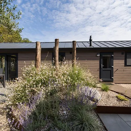 Modern Ingericht Op Park Op De Veluwe * אפ