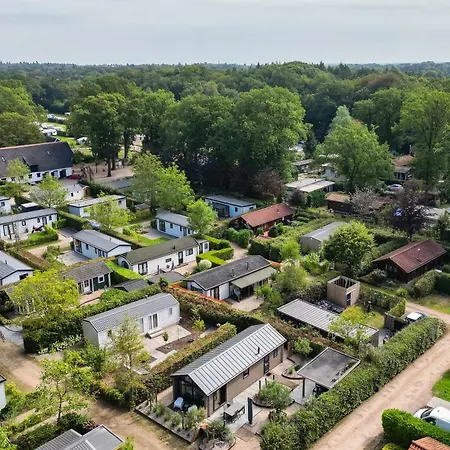 Modern Ingericht Op Park Op De Veluwe