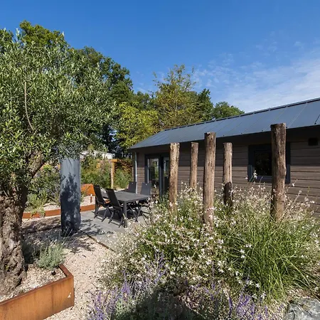 Modern Ingericht Op Park Op De Veluwe בית נופש