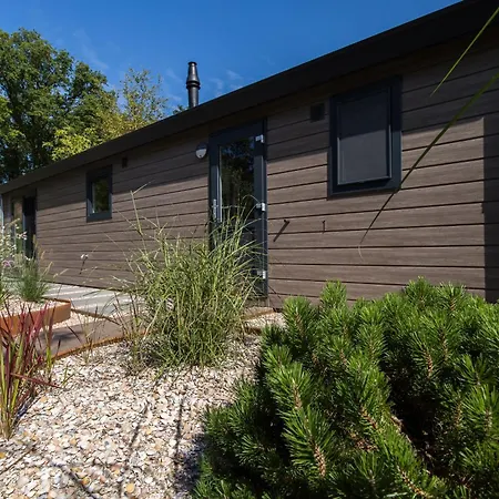 Modern Ingericht Op Park Op De Veluwe 別荘 エーペ