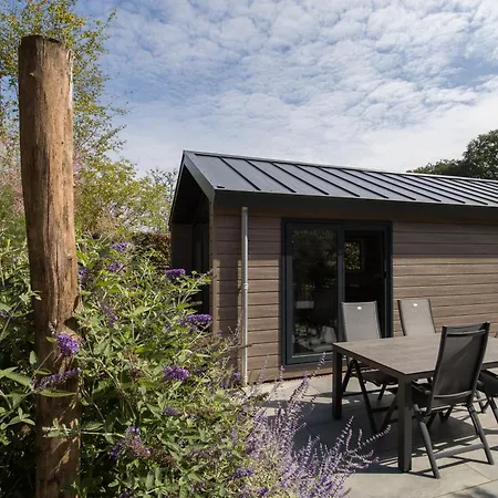 Modern Ingericht Op Park Op De Veluwe בית נופש אפ