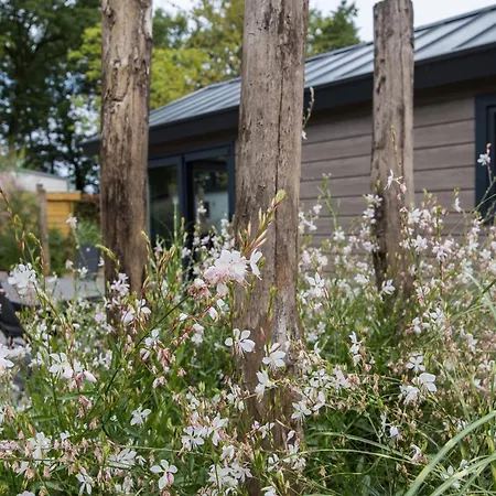 בית נופש Modern Ingericht Op Park Op De Veluwe אפ