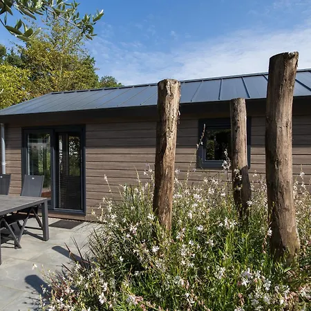 בית נופש Modern Ingericht Op Park Op De Veluwe אפ