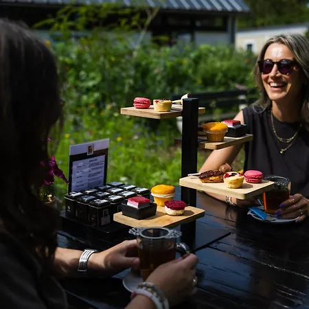 Modern Ingericht Op Park Op De Veluwe בית נופש