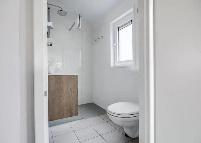 Modern Ingericht Op Park Op De Veluwe