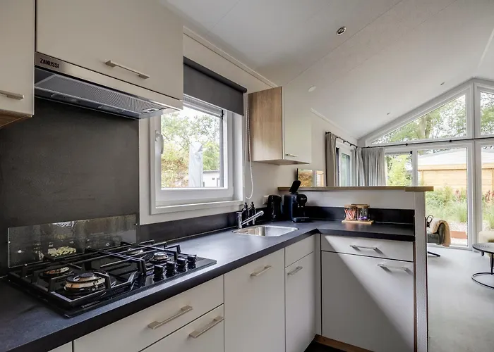 Modern Ingericht Op Park Op De Veluwe * Epe