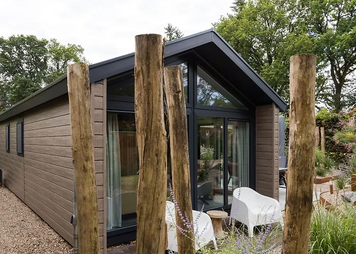 Modern Ingericht Op Park Op De Veluwe