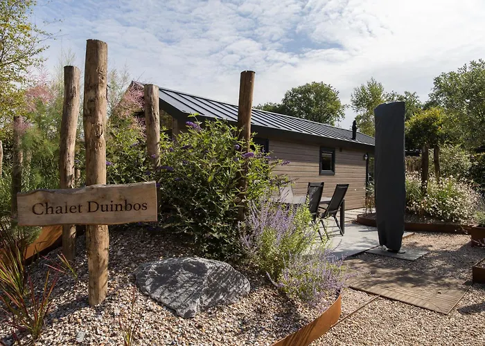 Dom wakacyjny Modern Ingericht Op Park Op De Veluwe *