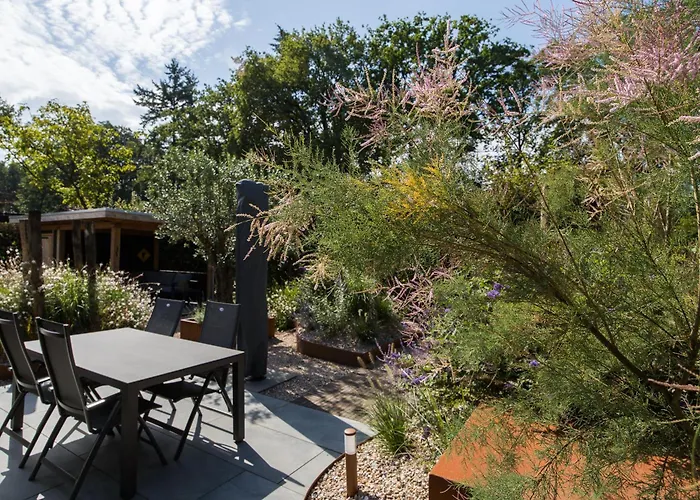 Modern Ingericht Op Park Op De Veluwe Epe