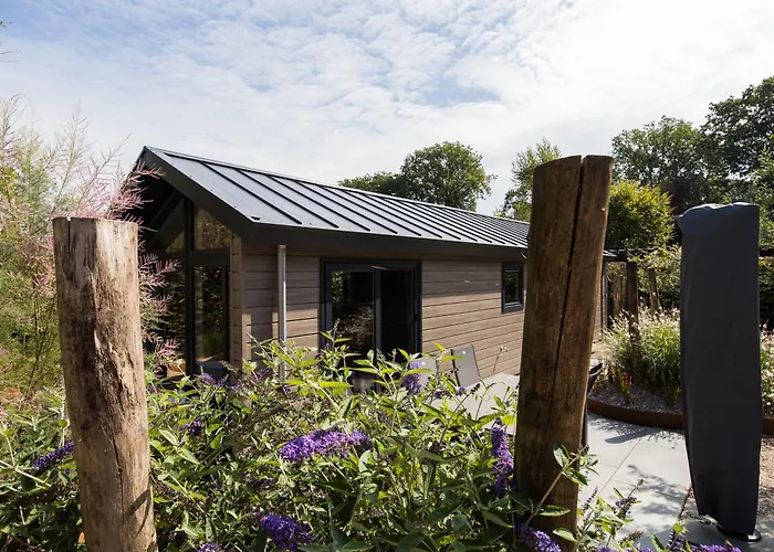 Сasa de vacaciones Modern Ingericht Op Park Op De Veluwe Epe