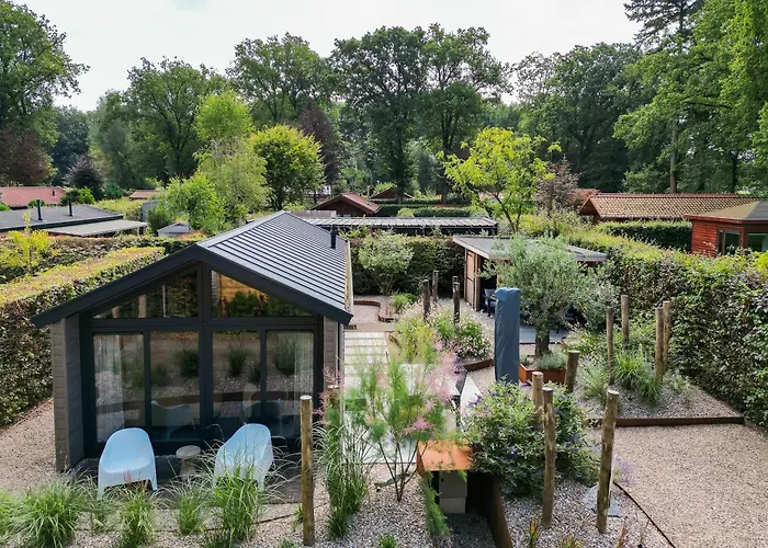 Modern Ingericht Op Park Op De Veluwe * Epe