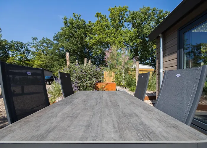 Modern Ingericht Op Park Op De Veluwe *