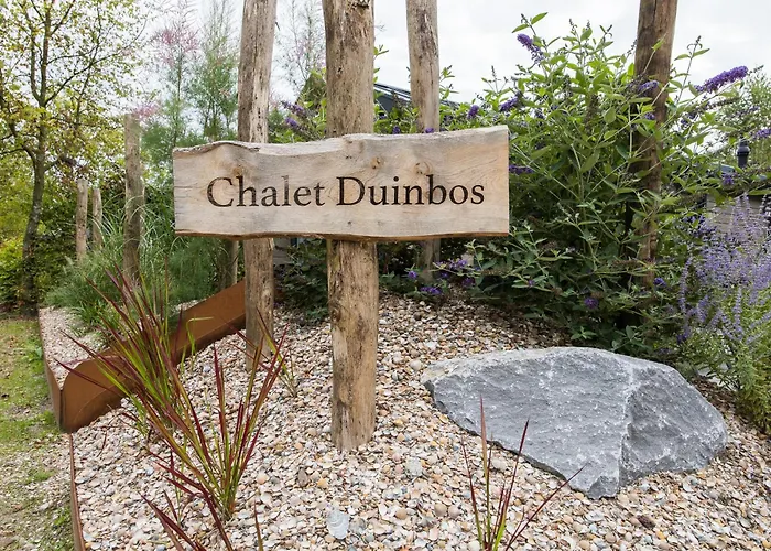 Modern Ingericht Op Park Op De Veluwe * Epe