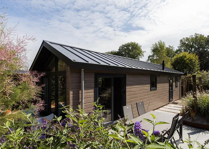 Modern Ingericht Op Park Op De Veluwe