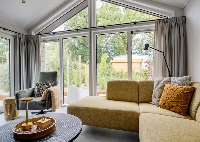 Modern Ingericht Op Park Op De Veluwe *