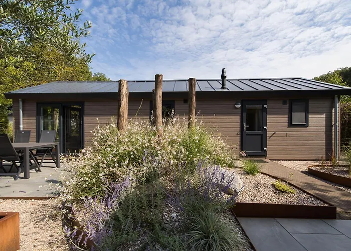 Modern Ingericht Op Park Op De Veluwe * Epe