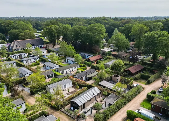 Modern Ingericht Op Park Op De Veluwe