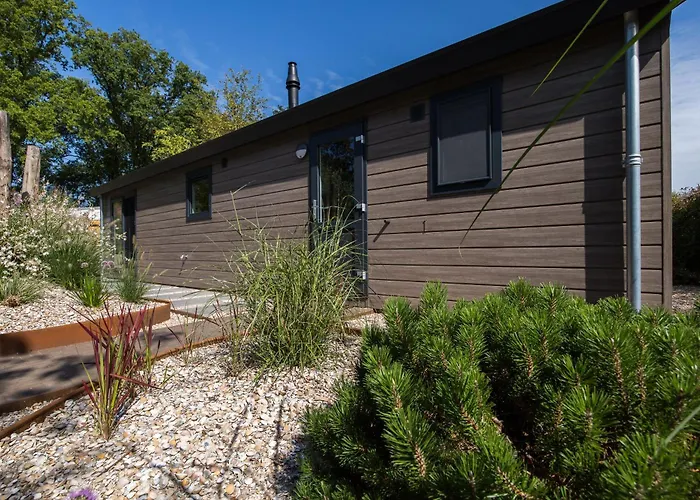 Modern Ingericht Op Park Op De Veluwe Сasa de vacaciones Epe