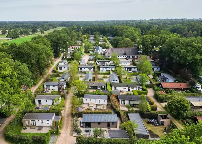 Modern Ingericht Op Park Op De Veluwe Epe