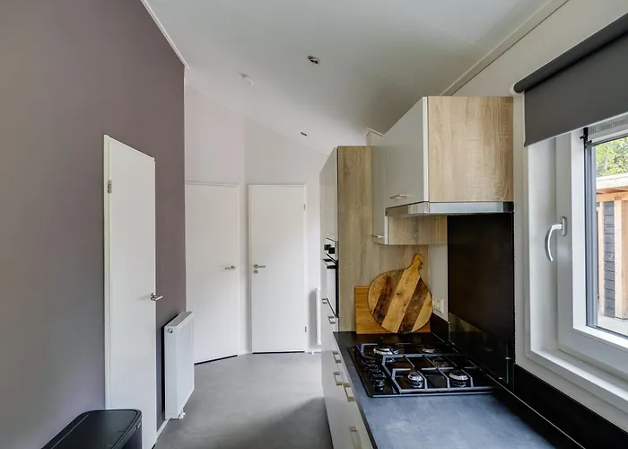 Modern Ingericht Op Park Op De Veluwe * Epe