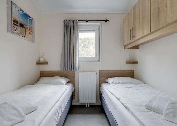 Modern Ingericht Op Park Op De Veluwe *