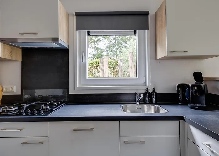 Modern Ingericht Op Park Op De Veluwe *