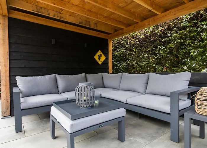 Modern Ingericht Op Park Op De Veluwe *