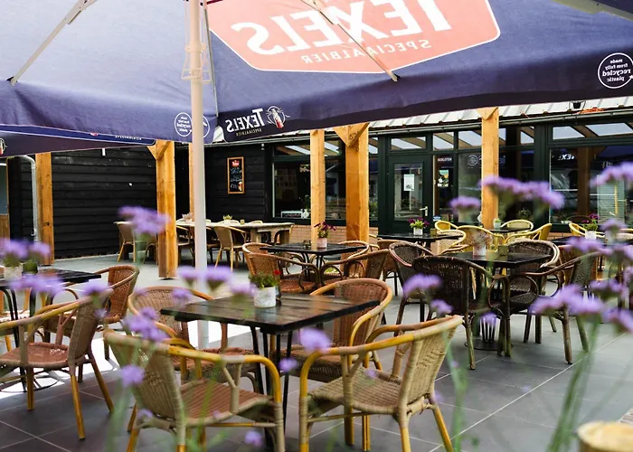 Modern Ingericht Op Park Op De Veluwe