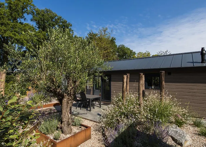 Ferienhaus Modern Ingericht Op Park Op De Veluwe Epe
