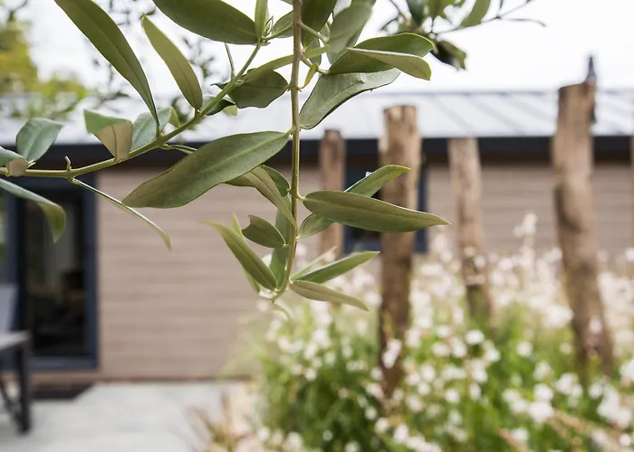 Ferienhaus Modern Ingericht Op Park Op De Veluwe