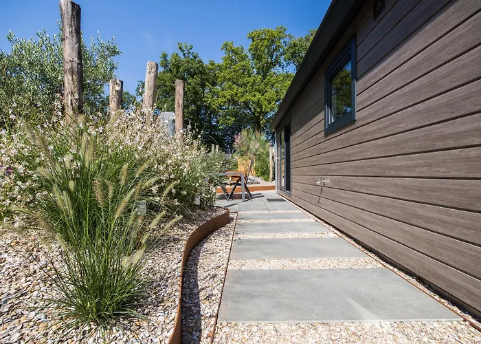 Modern Ingericht Op Park Op De Veluwe *