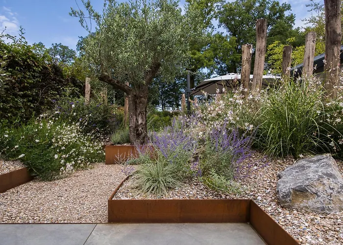 Ferienhaus Modern Ingericht Op Park Op De Veluwe