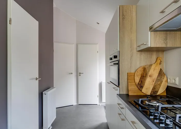 Ferienhaus Modern Ingericht Op Park Op De Veluwe Epe