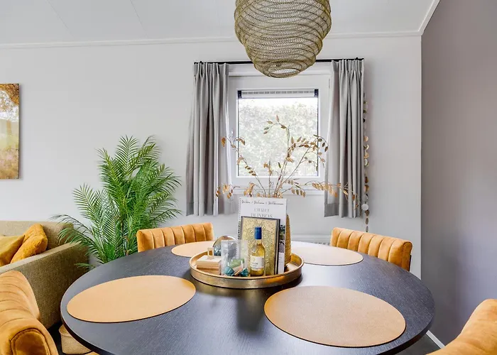 Modern Ingericht Op Park Op De Veluwe *