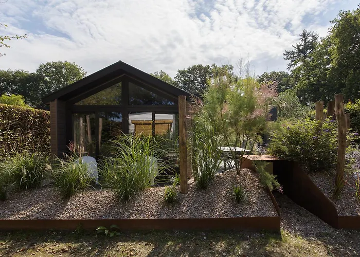 Modern Ingericht Op Park Op De Veluwe * Epe