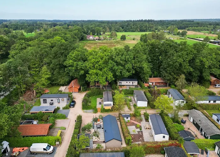 Modern Ingericht Op Park Op De Veluwe