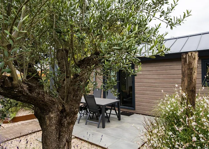 Ferienhaus Modern Ingericht Op Park Op De Veluwe *